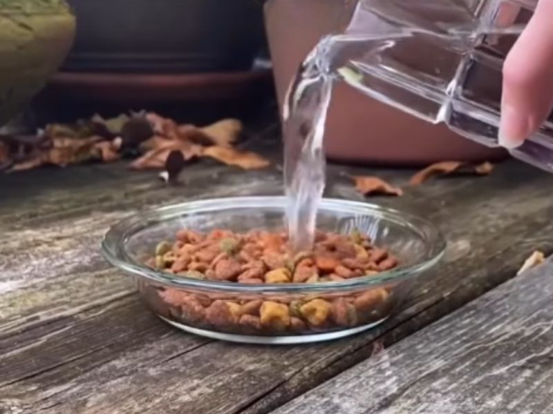 osoba sipa vodu u staklenu činiju u kojoj su granule