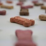 nekoliko psećih poslastica u različitim bojama