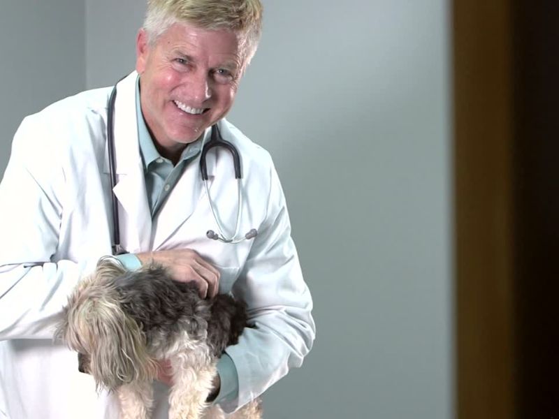 Nasmejan veterinar drži psa u rukama, neutralna pozadina