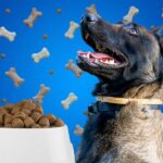 Pas malinoa, u pozadini granule i činija sa granulama , plava pozadina