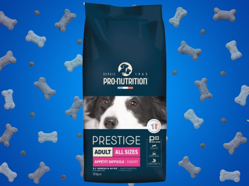 Pro Nutrition Prestige Maxi Adult hrana za pse na plavoj pozadini sa grafikonom granula